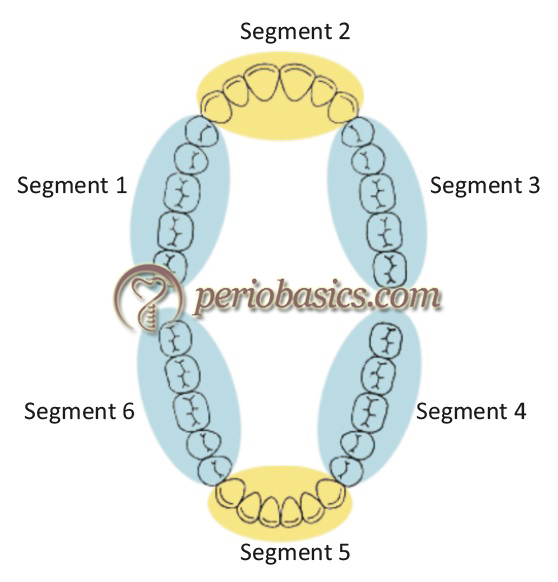 Division of dentition into six sextants as described by Greene and Vermillion in oral hygiene index