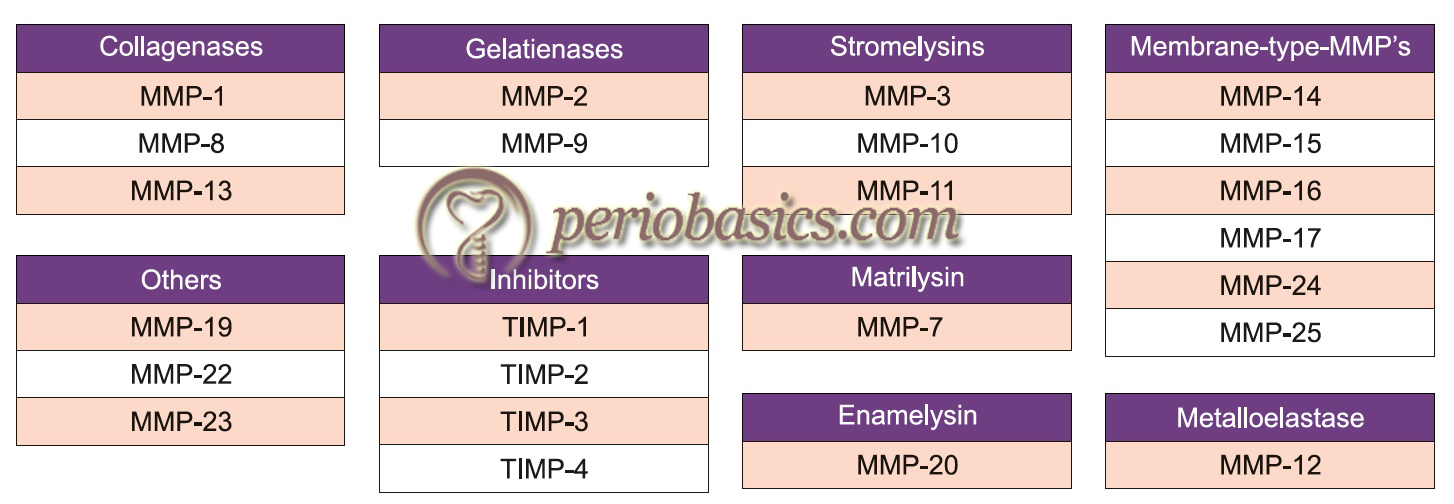 Classification of MMPs