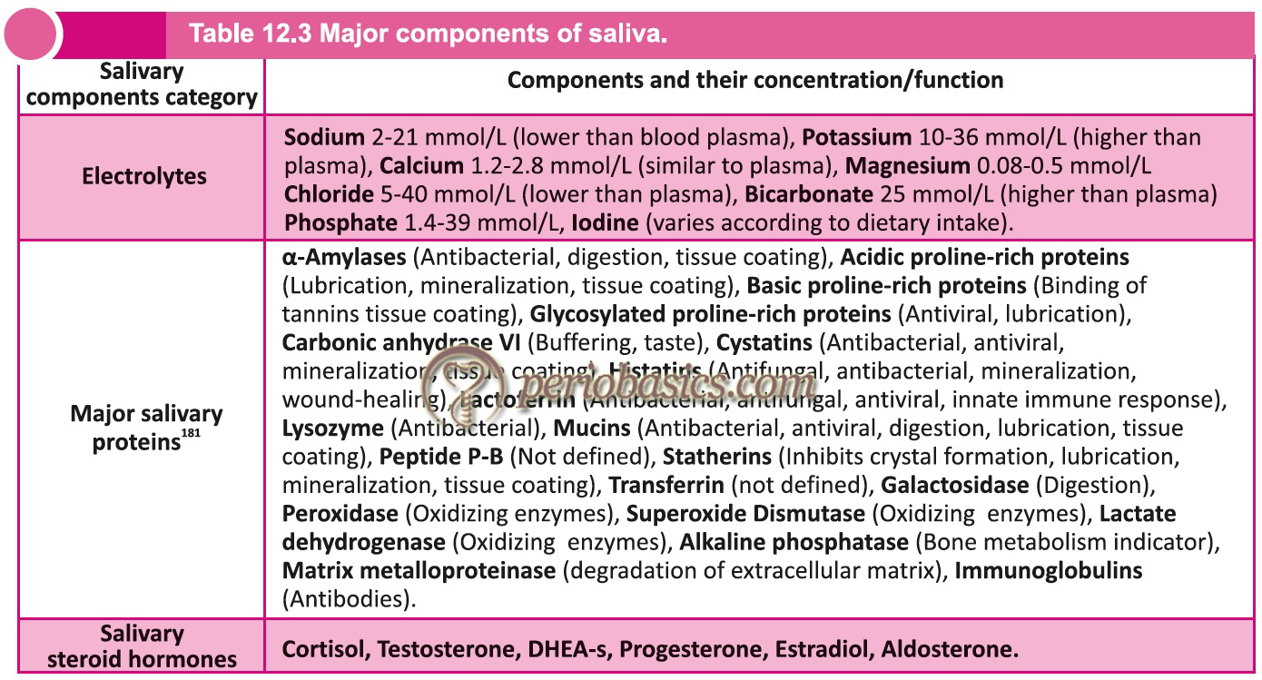 Major components of saliva.