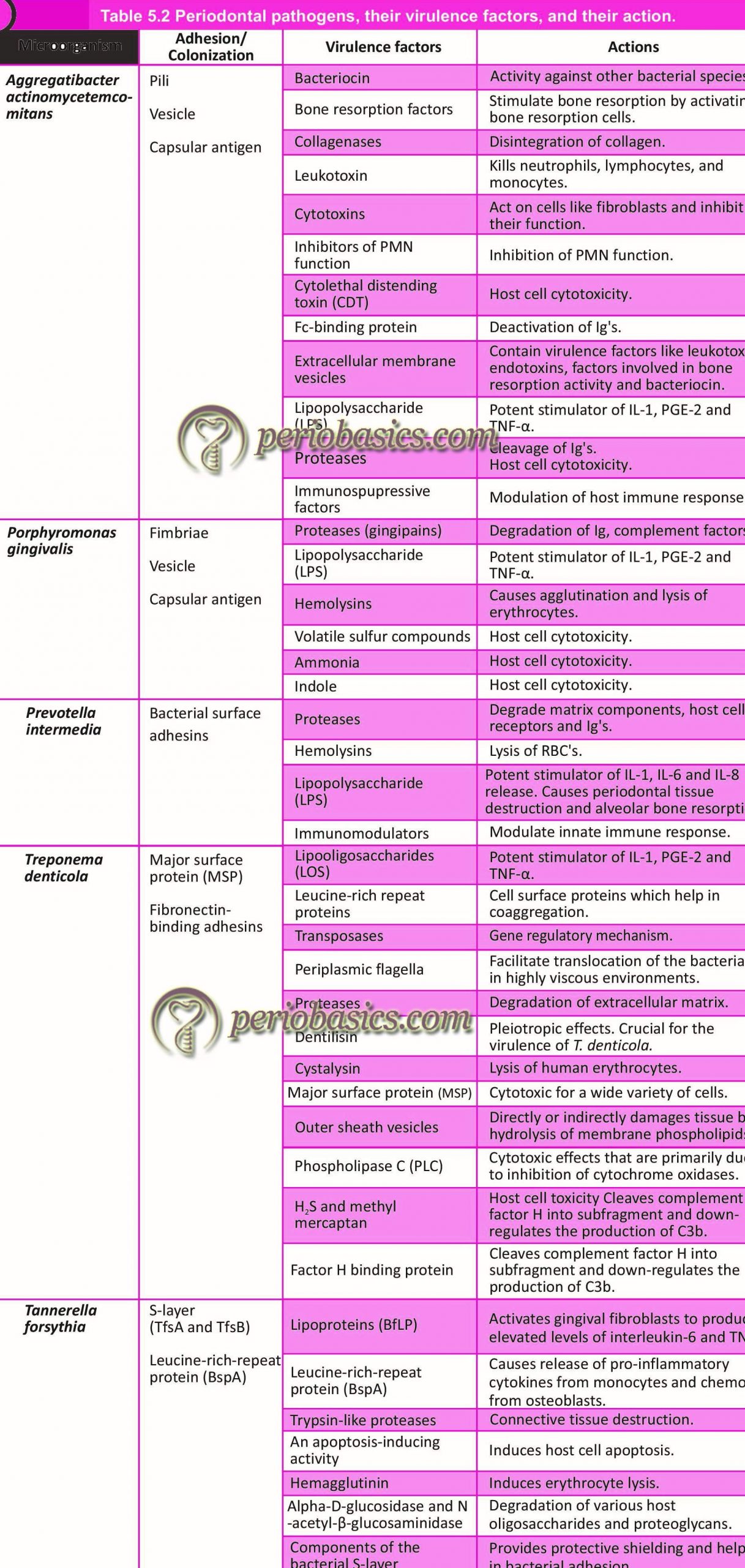 Periodontal pathogens, their virulence factors, and their action._