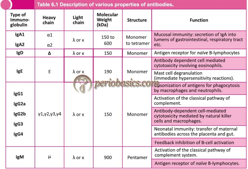 Humoral Immunity Table Humoral immunity - periobasics.com Basic Sciences