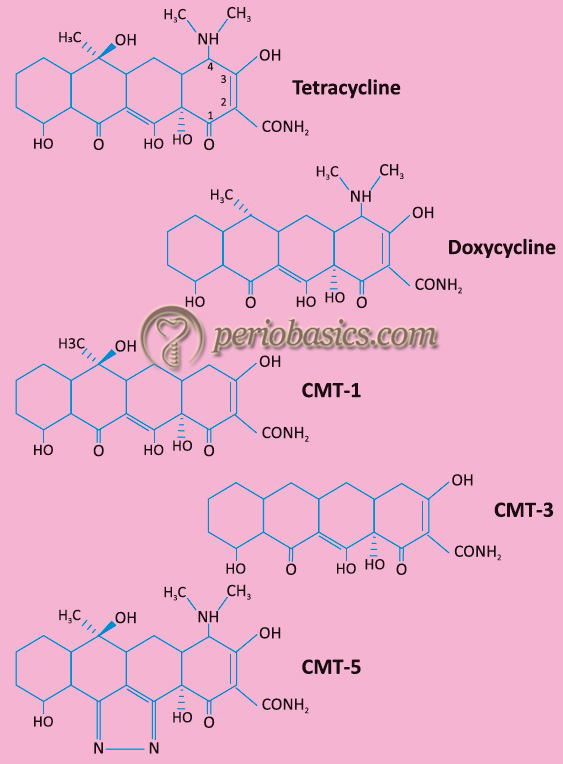 Chemically modified tetracyclins