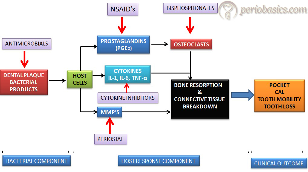 Diagram representing various host modulation strategies