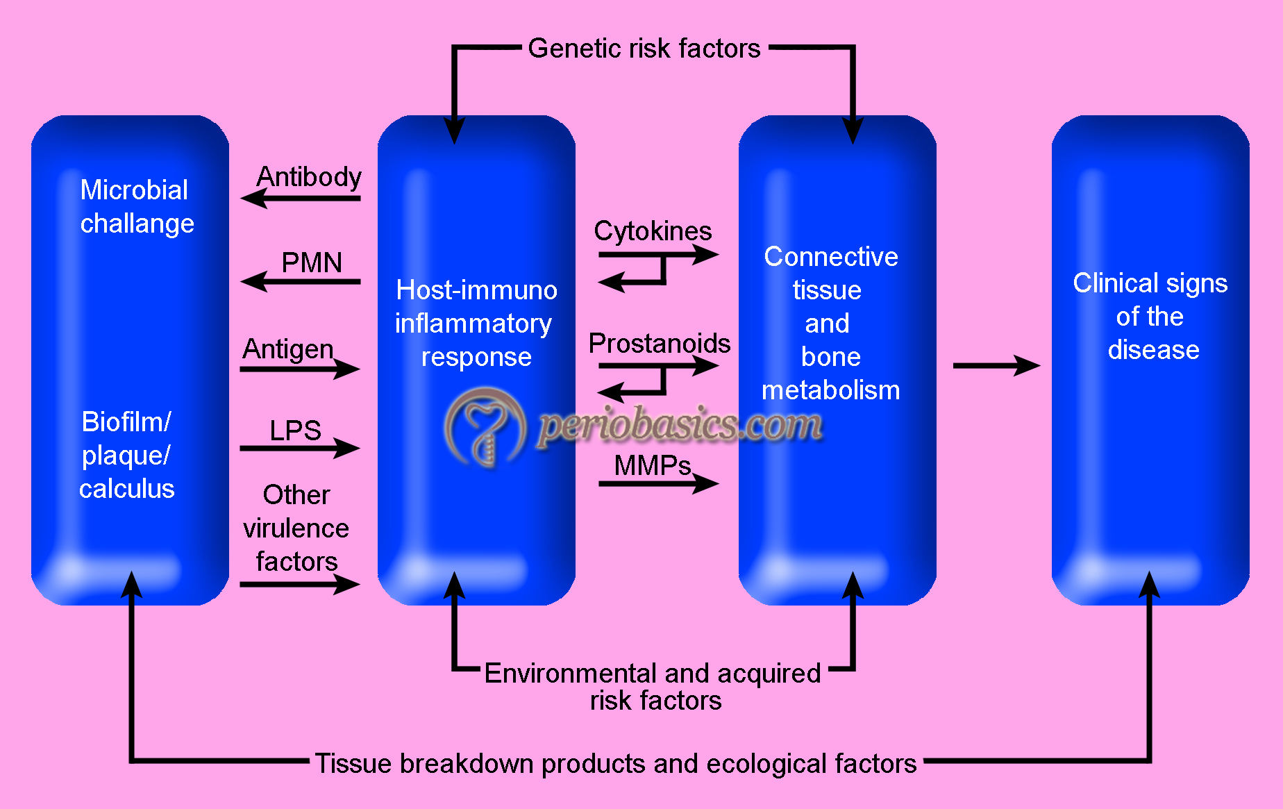 Host Modulation Therapy In Periodontics 