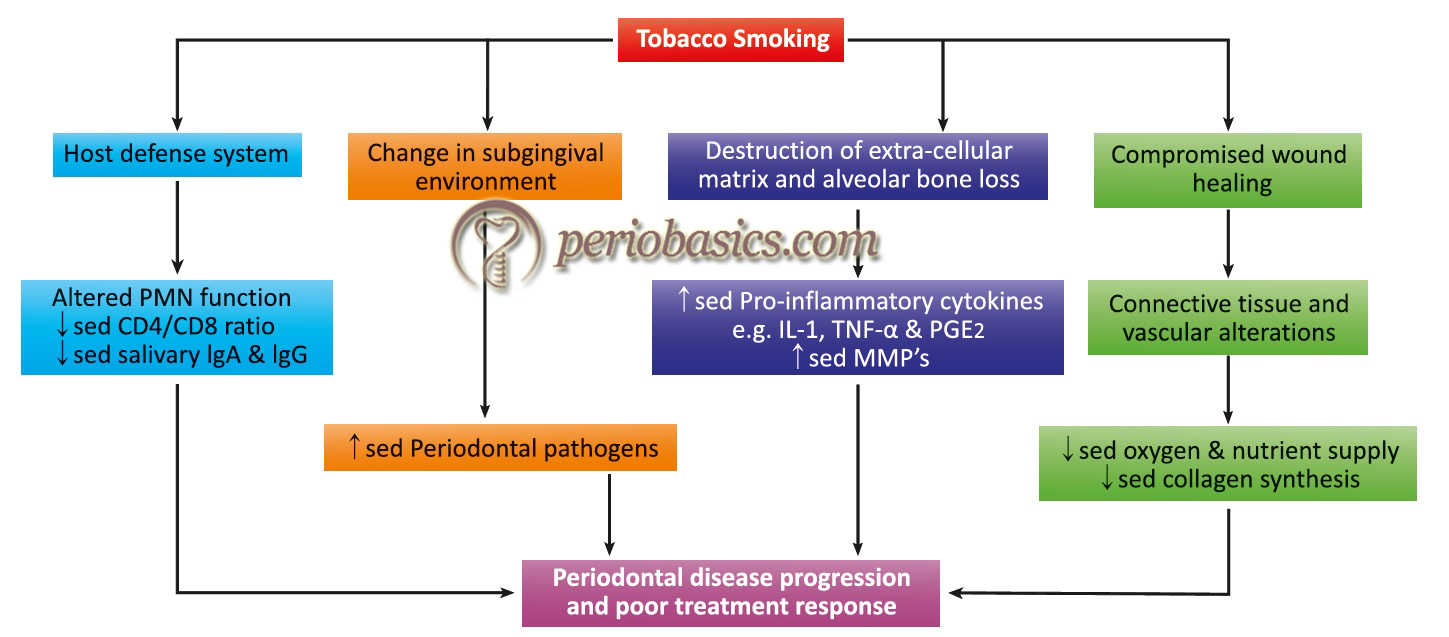 Flowchart describing the effects of smoking on the host defence system, changes in the subgingival environment, and wound healing.