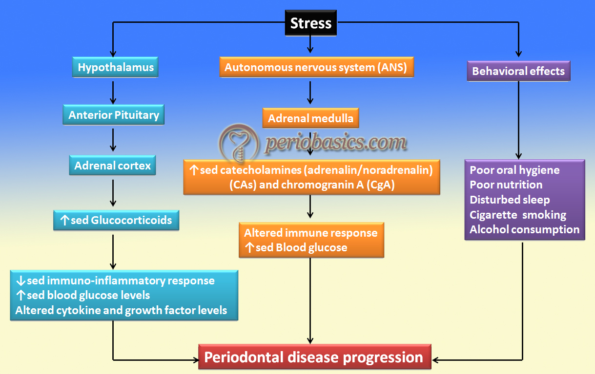 Stress and periodontal disease progression