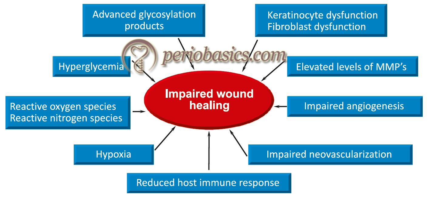 The underlying causes of delayed wound healing in diabetes mellitus