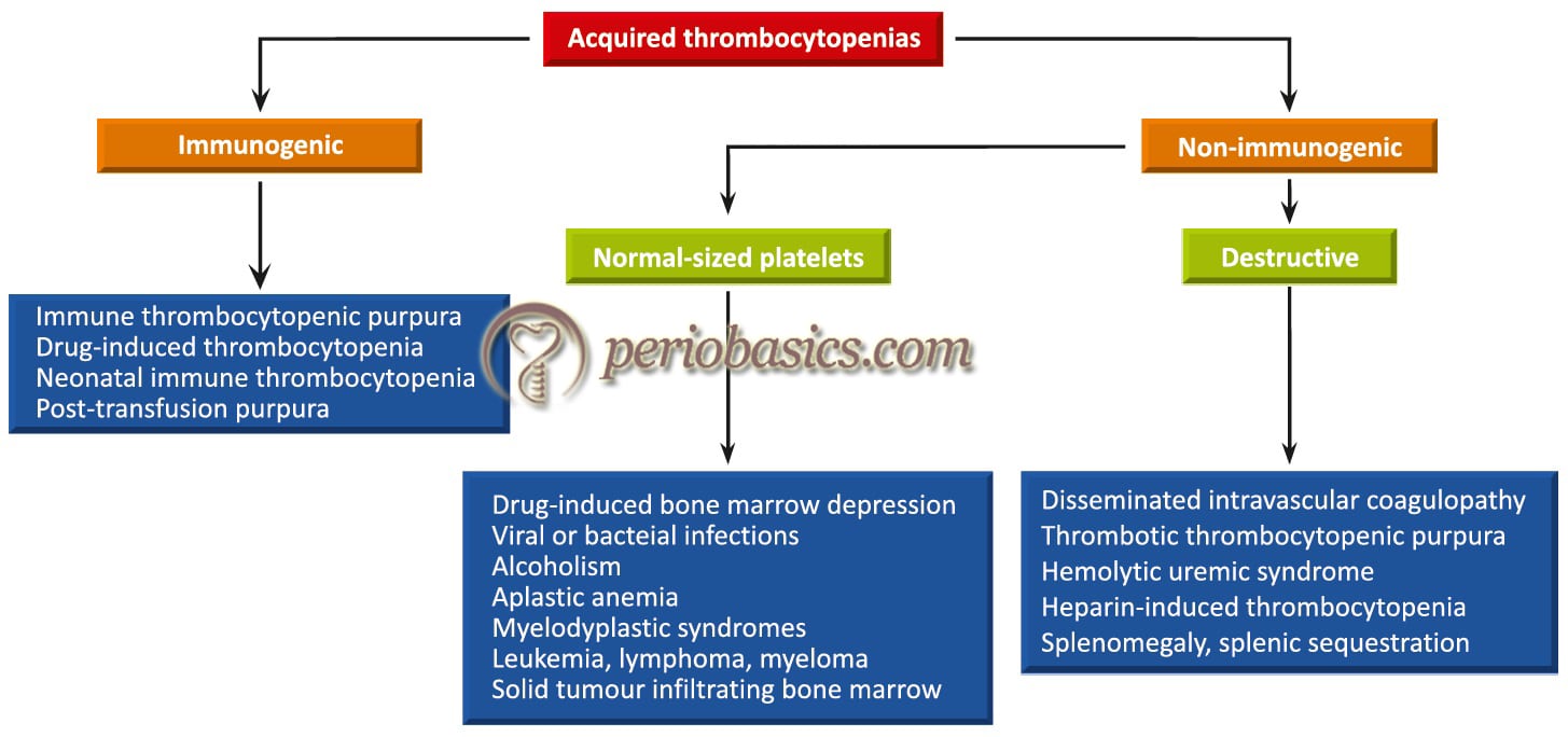 Various causes of acquired thrombocytopenia