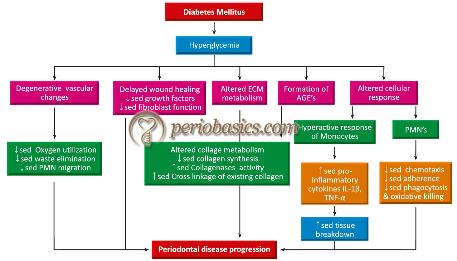Various vascular, metabolic and immunological effects of hyperglycemia in diabetes mellitus and their association with periodontal disease progression.