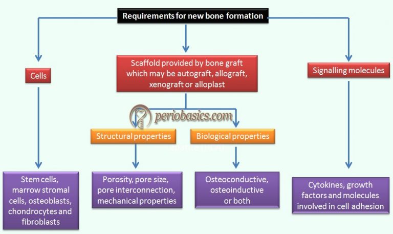 Bone grafts in Periodontics - periobasics.com