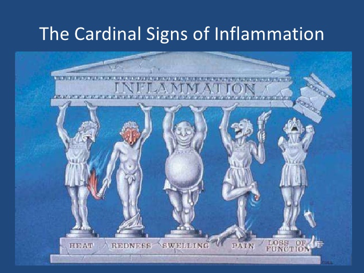 Signs of inflammation