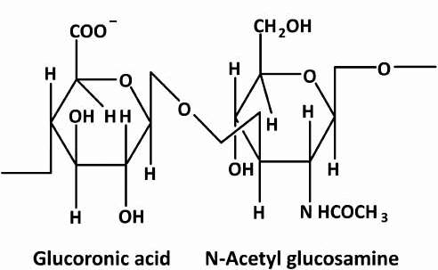 Structure of Hyaluronic acid molecule